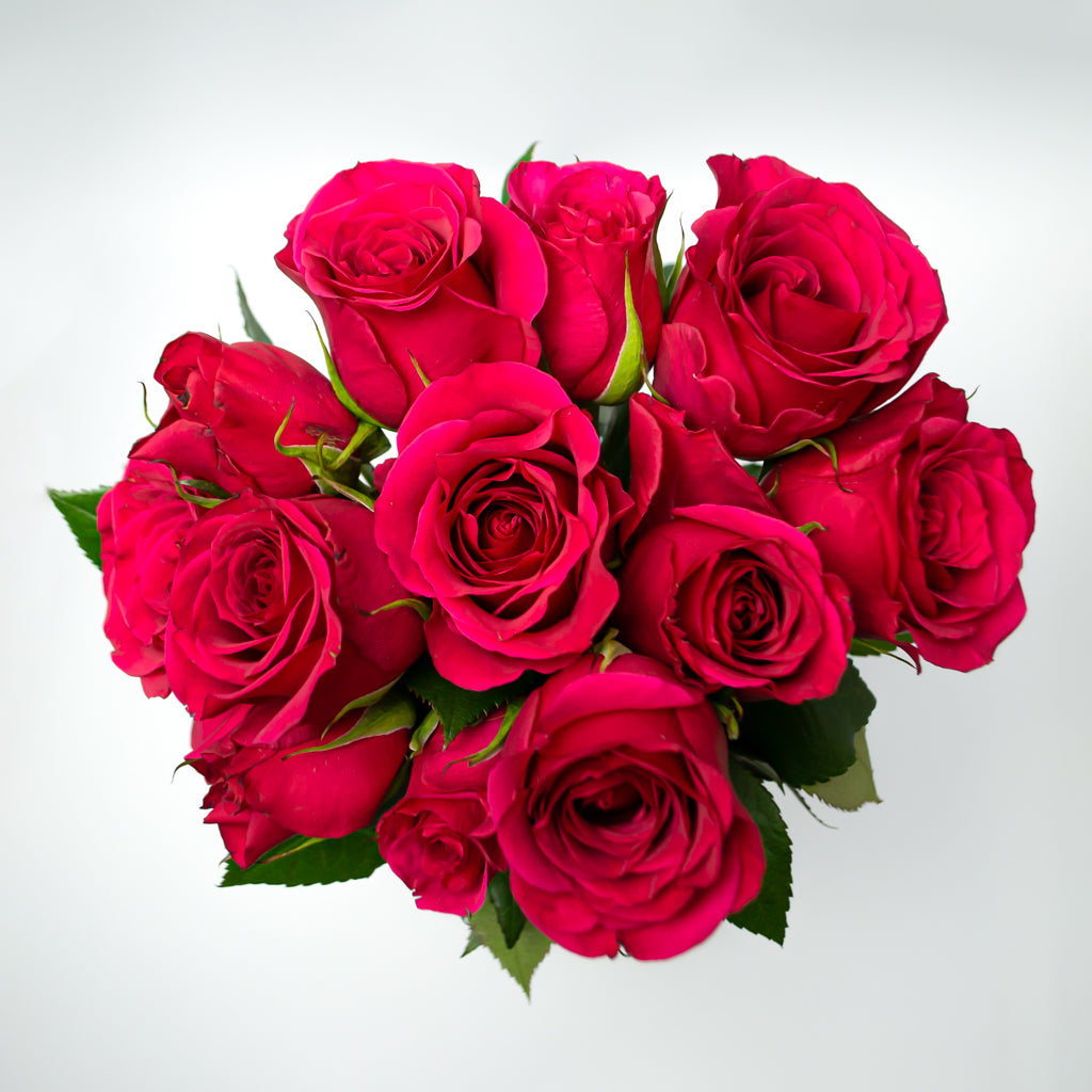 Rosas rojas de alta calidad (12 tallos) de 40cm