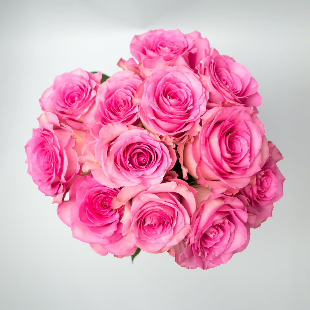 Rosas de alta calidad (12 tallos) de 40cm