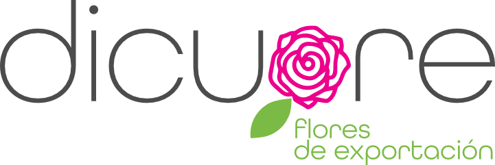 Logo Dicuore, flores colombia