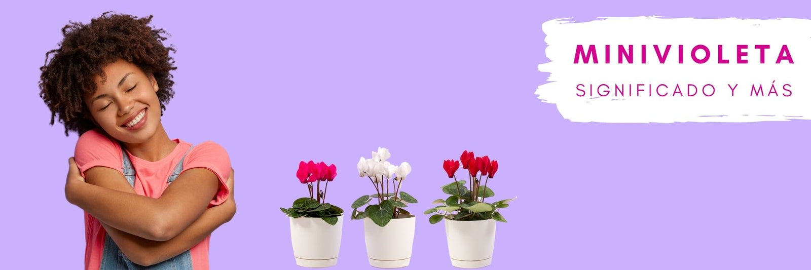 Mini Violeta su símbolo y lugares perfectos en el hogar