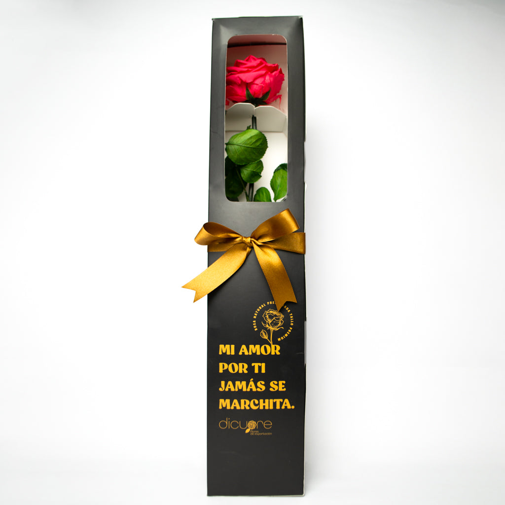 Caja regalo rosa preservada premium (día de la madre)